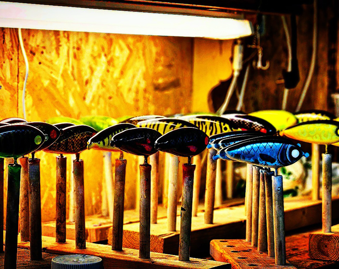 Holmström Bait Walle Boi